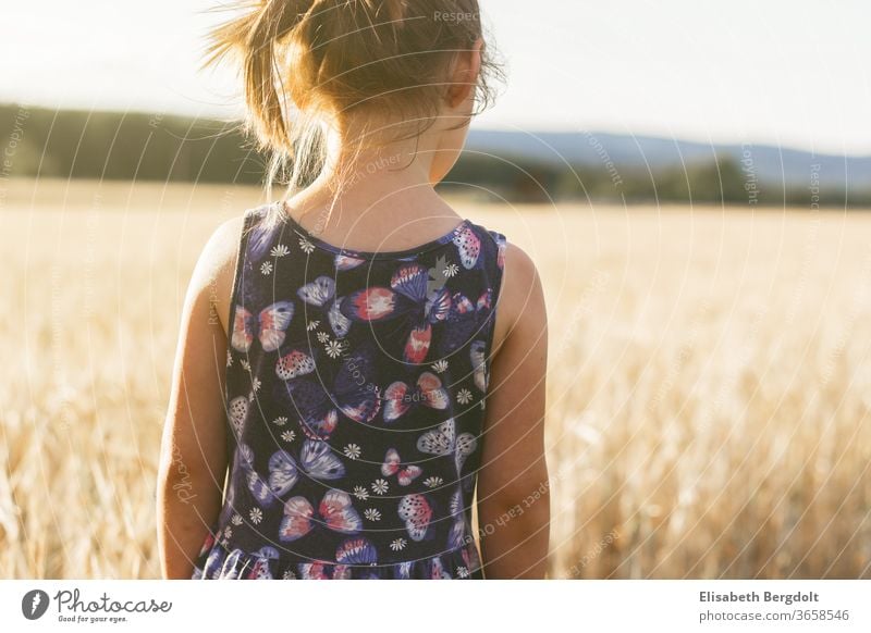 Little girl stands in the wheat field and looks into the distant landscape Child Wheat Dream Longing Wheatfield back view Sunbeam Romance Landscape