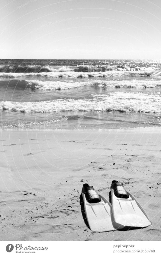 Fins on the beach Swimming flippers Beach Ocean Sand Water Waves Sun Sky Coast Summer Vacation & Travel Exterior shot Summer vacation Deserted Relaxation