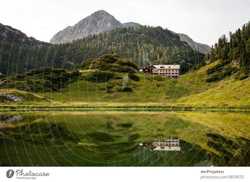 In the evening at Funtensee with sparkling Wide angle Panorama (View) Long shot Central perspective Deep depth of field Sunlight Light (Natural Phenomenon)