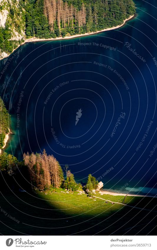 Obersee with sunspots Wide angle Panorama (View) Long shot Central perspective Deep depth of field Sunrise Sunlight Light (Natural Phenomenon) Contrast Shadow