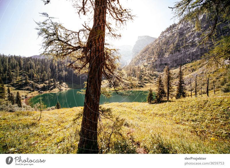 Sunny view at the Grünsee Wide angle Panorama (View) Long shot Central perspective Deep depth of field Sunrise Sunlight Light (Natural Phenomenon) Contrast