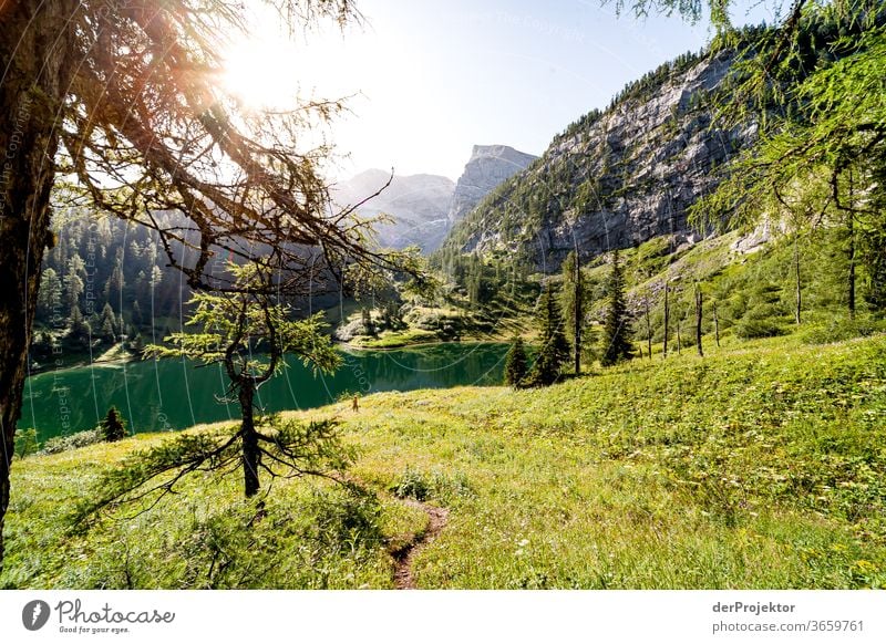 Sunny view at the Grünsee Wide angle Panorama (View) Long shot Central perspective Deep depth of field Sunrise Sunlight Light (Natural Phenomenon) Contrast