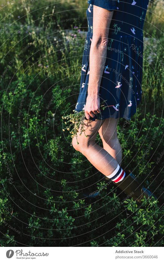 Cheerful woman walking along field run countryside carefree weekend summer sunny freedom cheerful female rubber boot dress joy meadow nature harmony idyllic