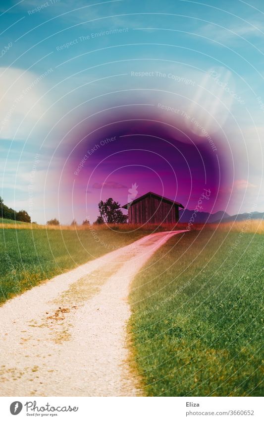 Whitewashing. Experimental landscape shot with a purple filter in front of a wooden hut Landscape experimental off Sky green Nature Summer Blue Meadow