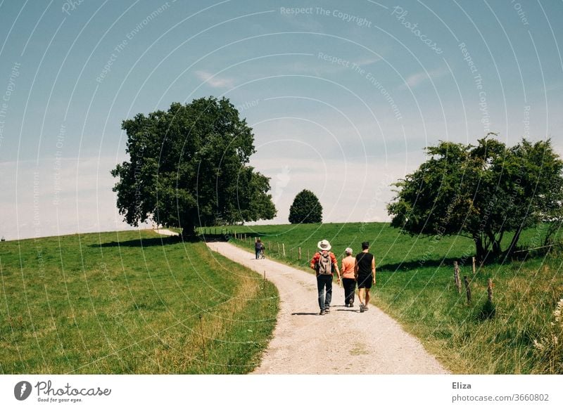 1200 | A group hiking in nature in good weather Hiking Family Trip Beautiful weather huts Meadow hillock off Environment Landscape Nature Sky Sunlight Summer