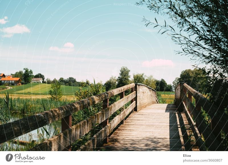 A wooden bridge over a stream Wooden bridge Landscape idyllically Brook Traverse off Sonnenshein Trip in the country Field Summer To go for a walk rural