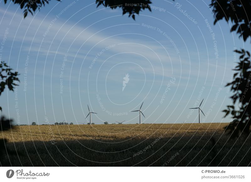 Wind turbines on the horizon Pinwheel wind farm Grain field Nature wind power eco-power