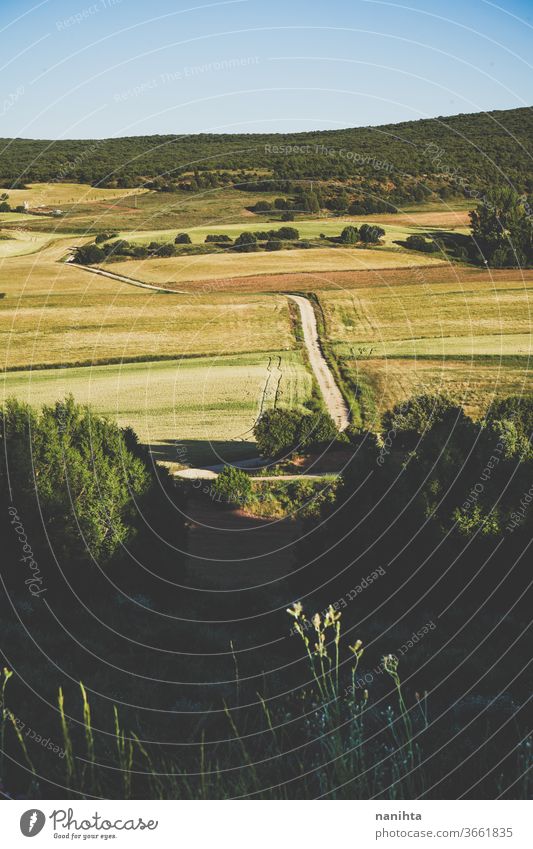 Landscape of countryside in Spain landscape fields crops cereals agriculture forest country life country side empty Spain no people nobody rural rustic mount