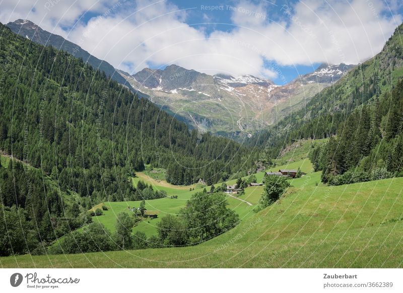 Hiking in the Pflerschtal in South Tyrol with alpine meadows Valley Meadow Alpine pasture mountains Alps Idyll slope Coniferous forest spruces Sky Clouds green