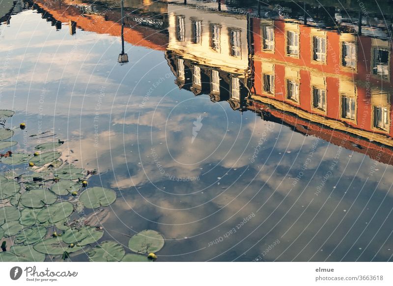 Houses and a street lamp on the bank as well as clouds in the blue sky are reflected in the river in front of water lilies reflection