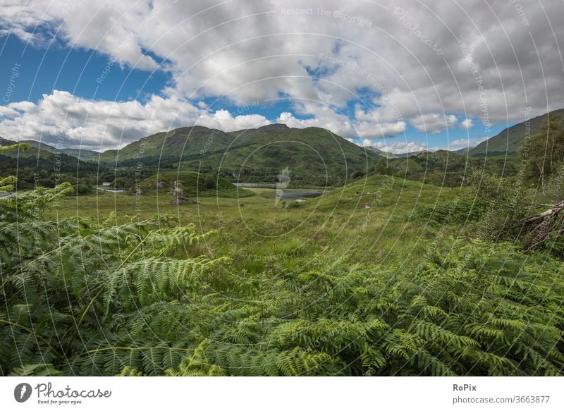 Landscape in the western highlands. Scotland scotland Bay Glenfinnan Ocean Highlands Nature monument Beach Coast England Hollow Shiel ocean Sandy beach