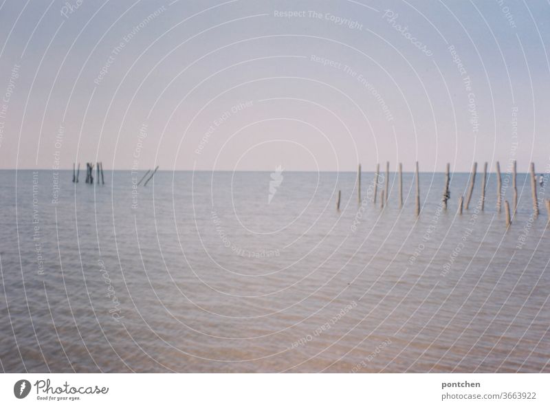 Waters, sticks and blue sky Body of water Sticks Boundary Lake Sky Summer Waves Ocean tranquillity Nature Horizon