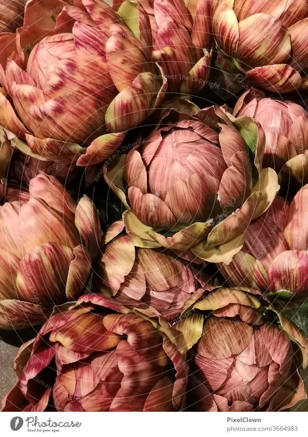 sea of blossoms Blossom leave Macro (Extreme close-up) bleed Close-up Nature Detail Nature, purple, Flora, Artichoke