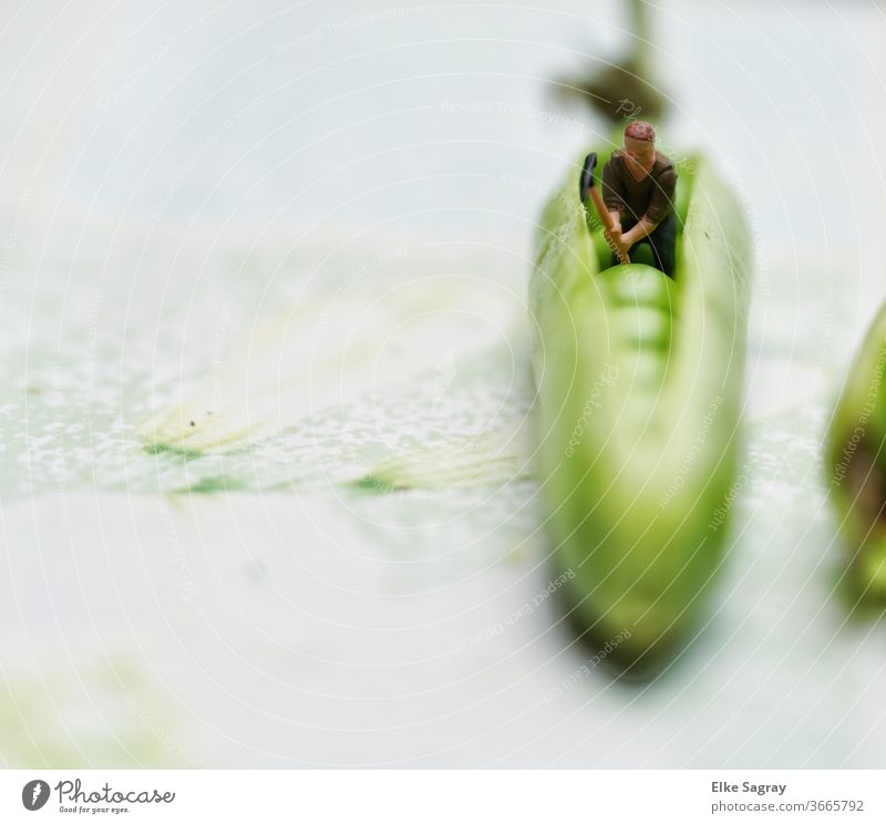 bean counter... miniature figures Exterior shot Close-up Blue Husk Food green