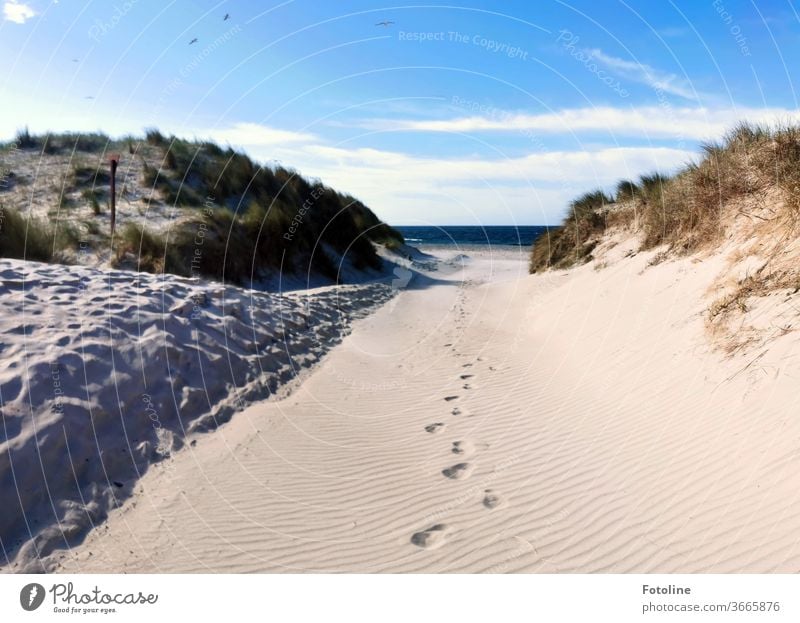 All alone - or lonely traces in the sand on the dune of Helgoland Sand Elements Ground Earth Sky Air Exterior shot Colour photo Nature Day Environment Deserted