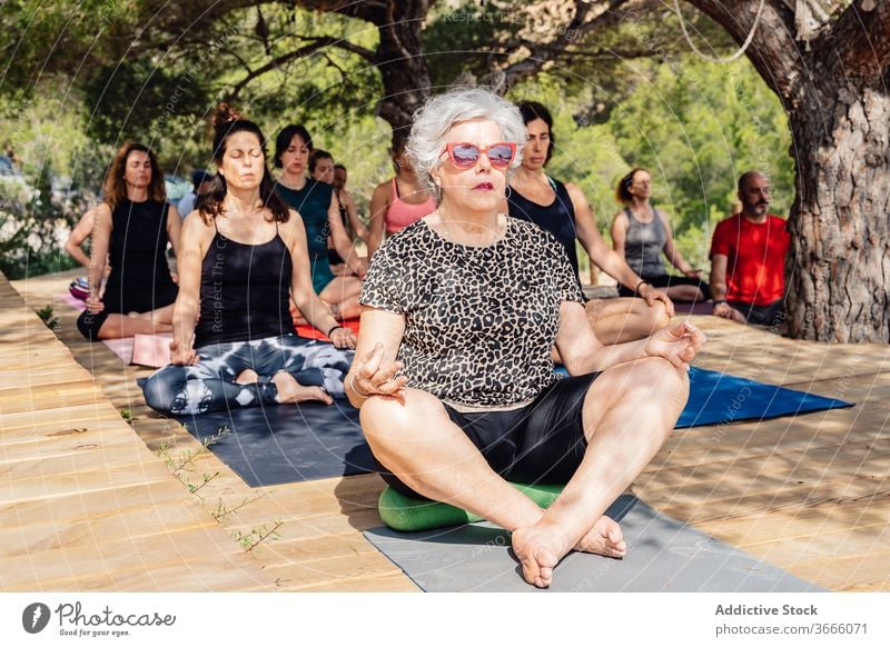 Senior woman practicing yoga on nature practice class park pose health care activity female mature senior elderly old healthy wellness asana relax lady calm