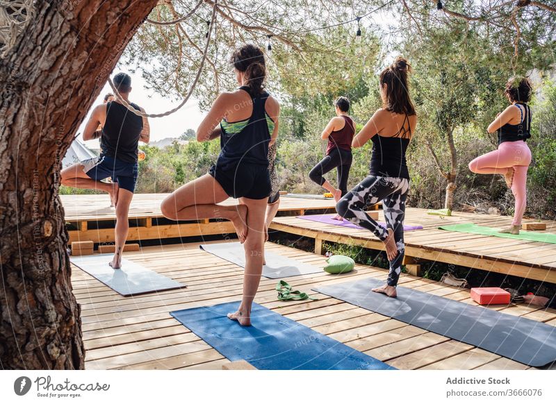 Group of women preparing to do Tree pose on nature practice yoga tree pose balance camp prepare group mat platform health care activity sportswear wooden man