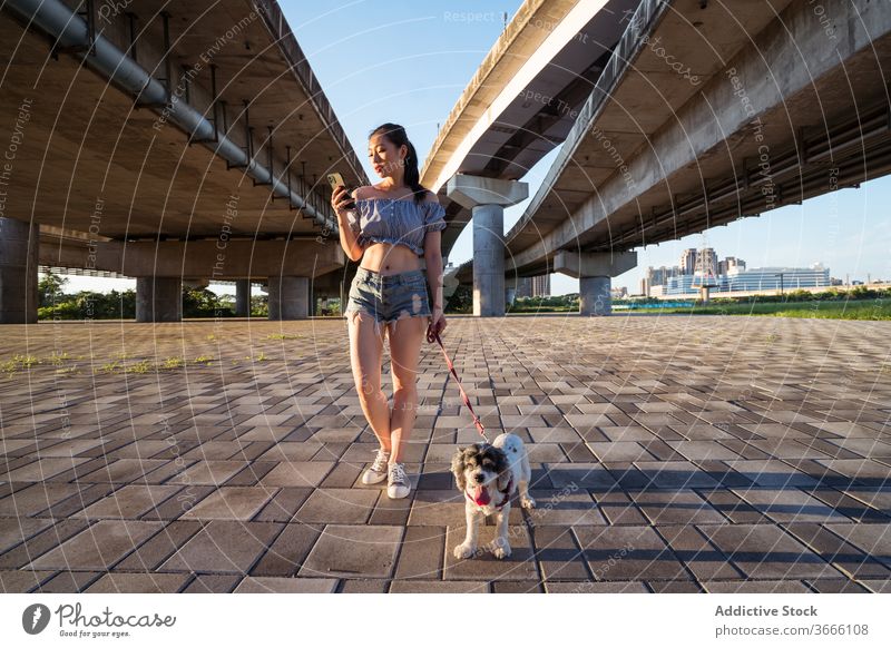 Asian lady walking American Cocker Spaniel on leash using mobile phone woman smartphone dog browsing purebred obedient canine friend surfing cheerful pavement