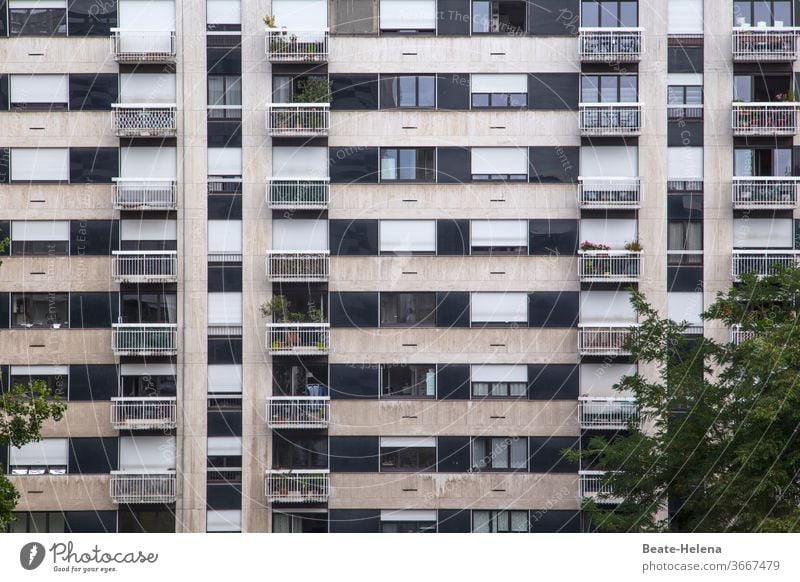 Paris - residential complex in the 15th arrondissement with trees and balcony planting block of flats Individualization conformal Foliage plant city district