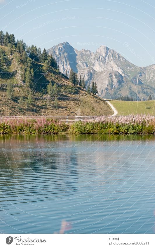 Mountains, hiking and refreshment in the mountain lake mountains Hiking Landscape Lake Nature Peak Lakeside Vacation & Travel Trip Freedom Alps Deserted Water