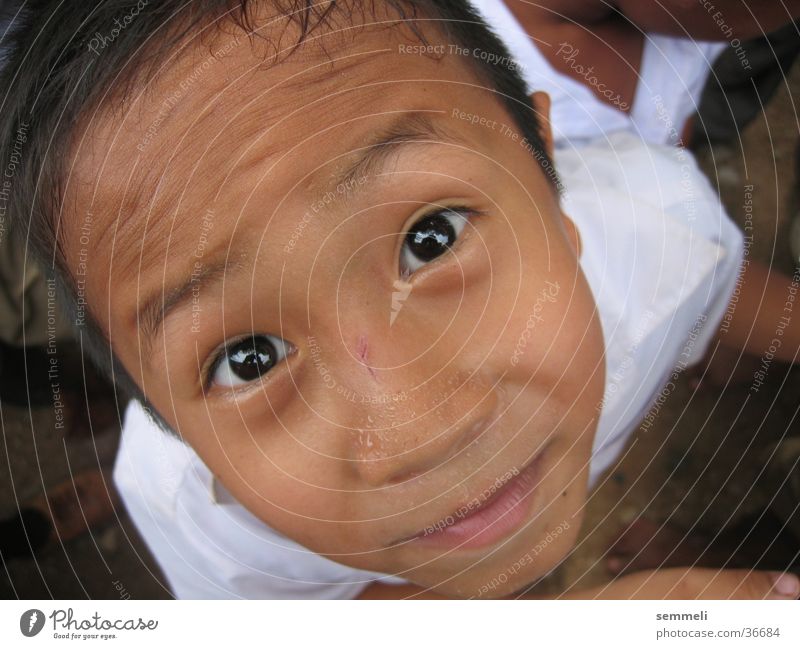 Thai Kid Child Thailand Boy (child) Man Eyes Face