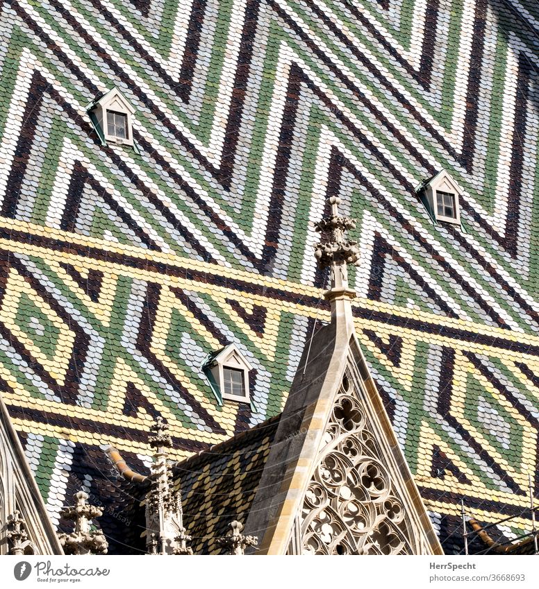 St. Stephen's Cathedral in Vienna - detailed view Roof Gothic period Dome Religion and faith Exterior shot House of worship Manmade structures