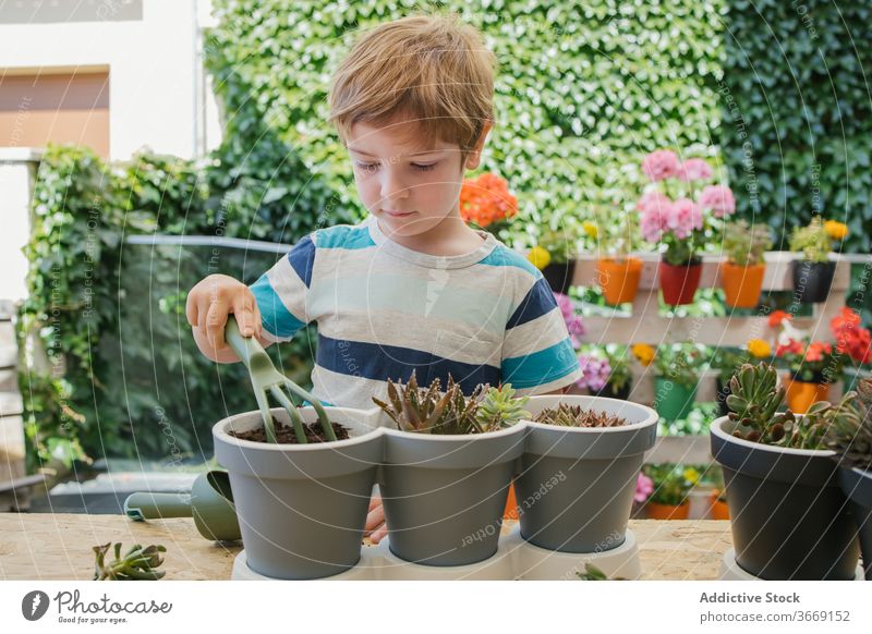 Boy with gardening fork prepare soil for plant in pot boy loosen horticulture cultivate cacti hedge harmony free time lush green grower tool child hobby trowel