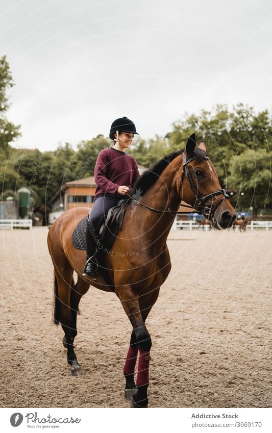 Female jockey riding horse on paddock horseback ride dressage woman training equestrian arena female chestnut horsewoman rider reins bridle animal equine owner