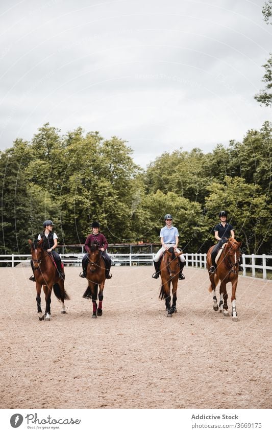 Group of female equestrians riding horses on paddock ride group horseback dressage company women together training arena jockey sand chestnut horsewomen rider