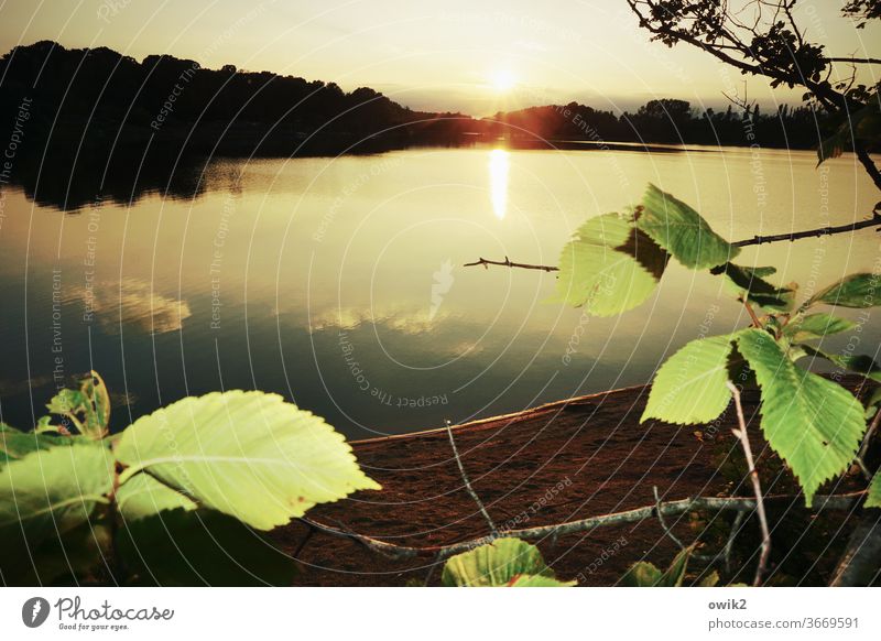 far away Lake out Dreamily Evening leaves windless Mysterious huts Water Surface of water Reflection Water reflection Illuminate Panorama (View) daylight