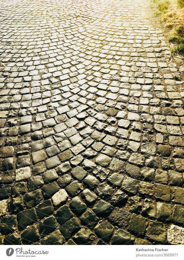 cobblestones, path, evening sun Lanes & trails Paving stone Cobbled pathway Evening Exterior shot Evening sun Day Colour photo Deserted Stone Street