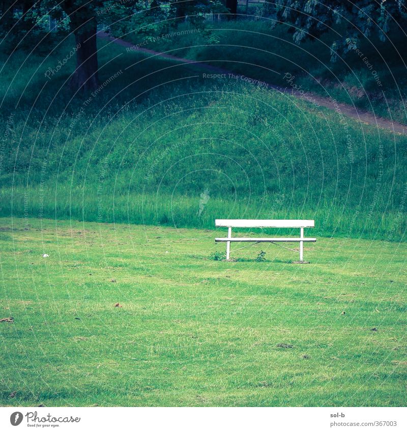 an empty bench Nature Tree Grass Park Hill Natural Green White Disappointment Loneliness Bench 1 Slope Lanes & trails Isolated Deserted Peaceful Colour photo