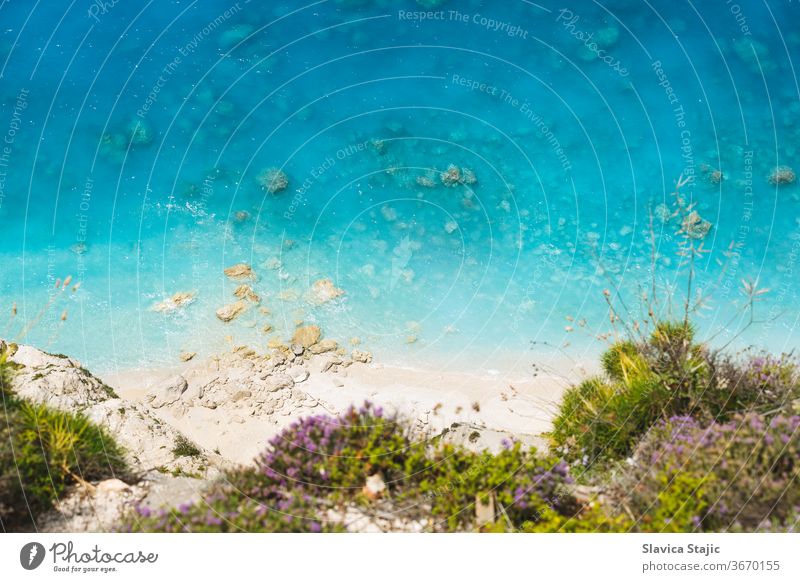 Aerial view of sandy wild beach with clear water. Flowering wild thyme at the edge of the cliff, beautiful beach background above aerial bay blooming blue coast