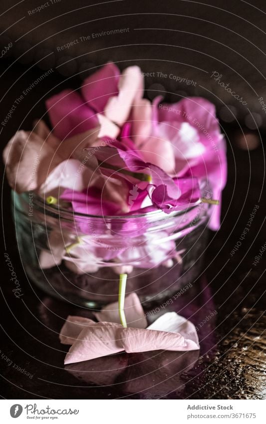 Fresh flowers in glass jar petal fresh table aroma dark room natural plant blossom bloom organic heap decor flora pile composition bunch delicate fragile scent