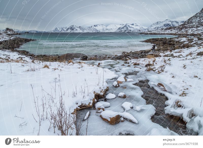 An icy river meanders towards the sea to share its sweet water with its salty one, but unfortunately this is not possible because there is a barrier... Lofotes