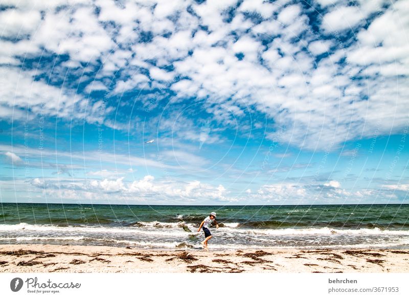 more sea always goes Water Waves Beach Ocean Darss Baltic Sea Sky Clouds Nature Landscape Coast Colour photo Exterior shot Vacation & Travel Child Infancy