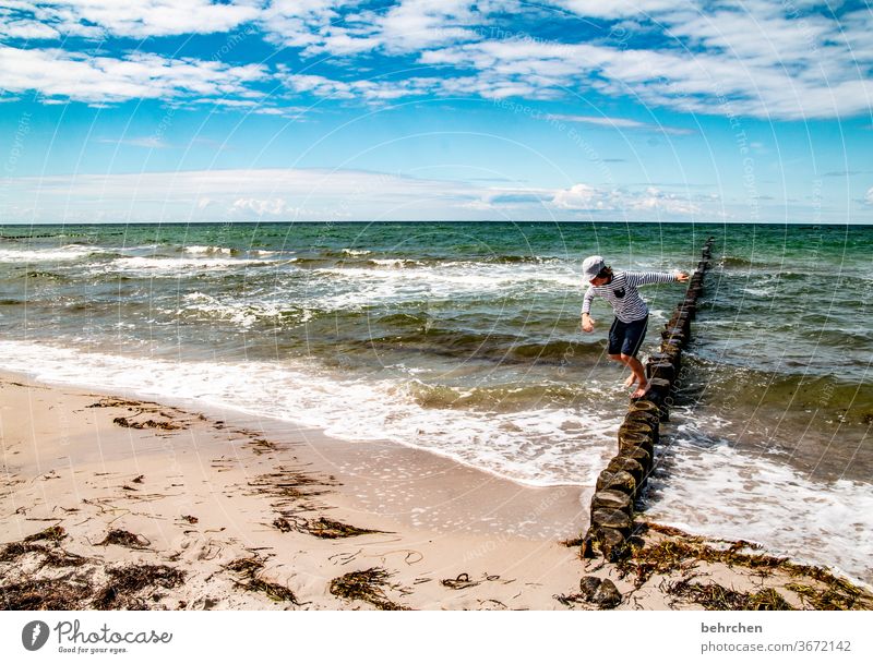 read stories Playing Free Freedom To enjoy relax recover Clouds balance Break water Relaxation Germany fischland-darß Tourism Child Infancy Summer