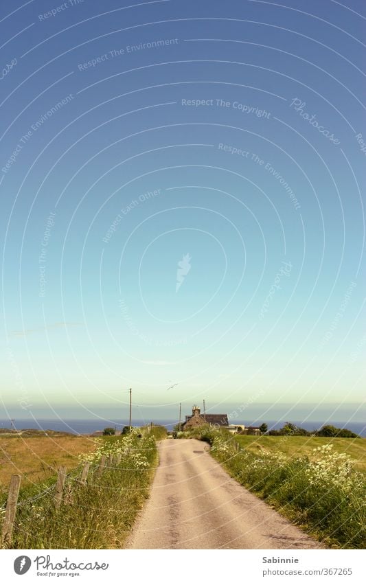 lunch break Environment Nature Landscape Sky Cloudless sky Sun Summer Beautiful weather Plant Grass Bushes Meadow Coast Ocean Aberdeen Scotland Village Deserted