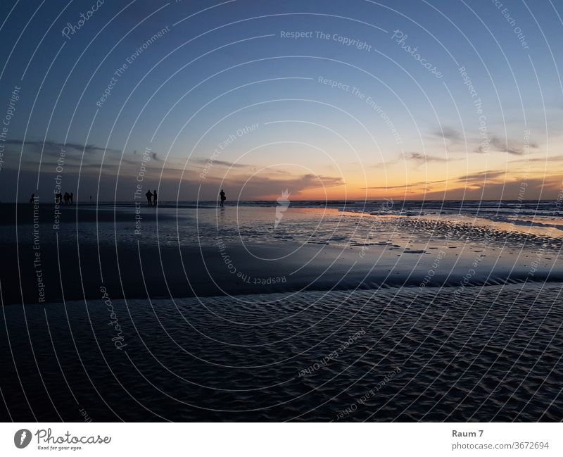 Sunset by the sea blue sunde Beach Blue Nature Landscape Ocean ocean North Sea Baltic Sea holidays vacation voyage travel Germany Water St. Peter-Ording