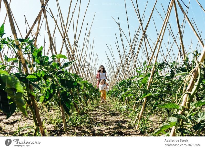 Happy mother and daughter playing catch up near tomato shrubs girl run having fun entertain activity carefree bush horticulture wooden stick countryside