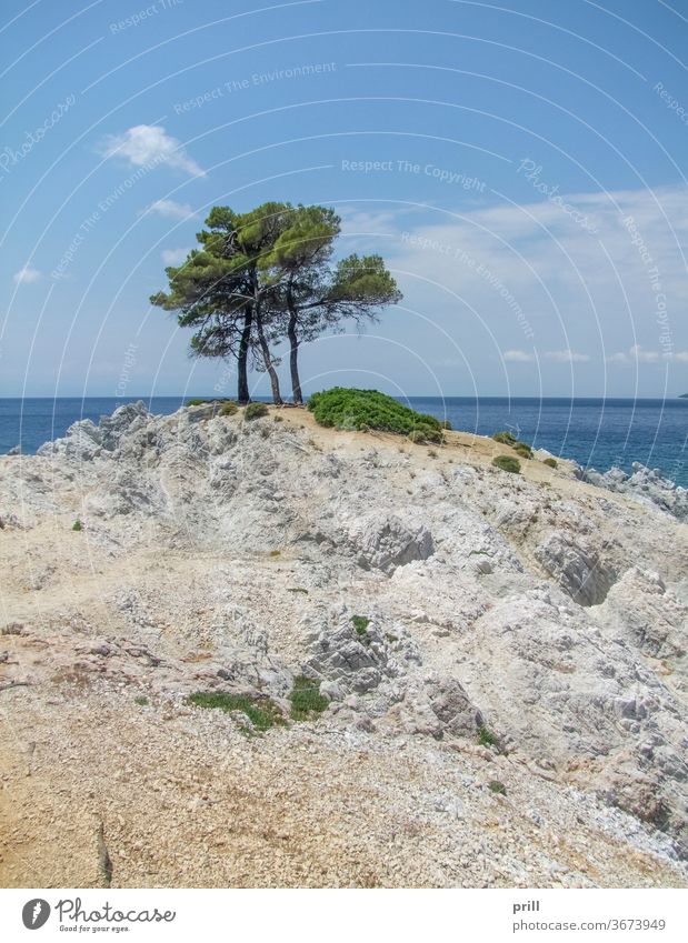 Amarantos rocks at Skopelos kap amarantos baum strand skopelos sporaden Ägäisches meer insel ozean thessalien bucht wasser klar transparent felsformation felsig