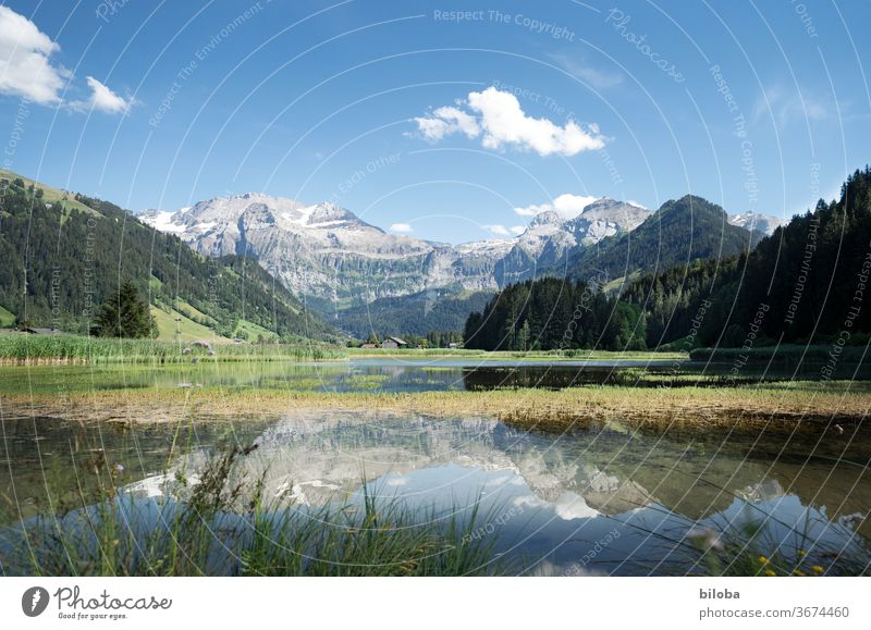 Mountains in the holiday paradise of Lenk are reflected in the water of Lenkersee in postcard weather. mountains Lake mirror reflection Reflection in the water