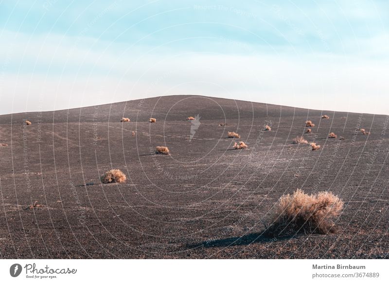 Vast arid landscape surrounding the Ubehebe crater in the Death Valley vastness ubehebe crater volcanic no people travel desert stones outdoors horizon hill