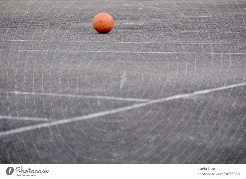 A forgotten ball lies in the evening light on the empty sports field Ball Ball sports Sports Playing Leisure and hobbies Colour photo Exterior shot Deserted