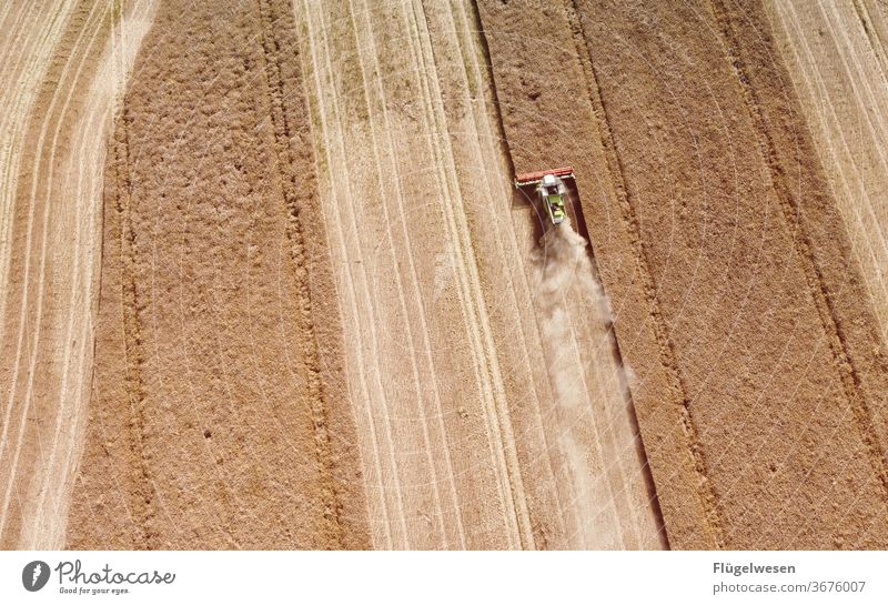 harvest 23 Harvest Thanksgiving reap Seasonal farm worker harvest season harvesting machine ready for harvesting degree of harvest Reap Combine Wheatfield Grain