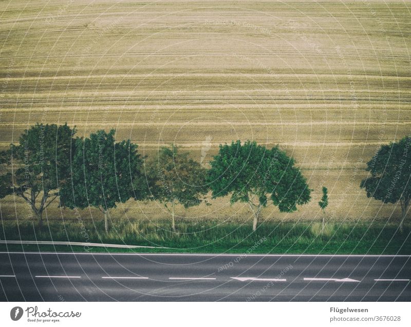 Road & Field Mecklenburg-Western Pomerania Street Road traffic Pavement Crossroads Roadside Street boundary Working in the fields Margin of a field