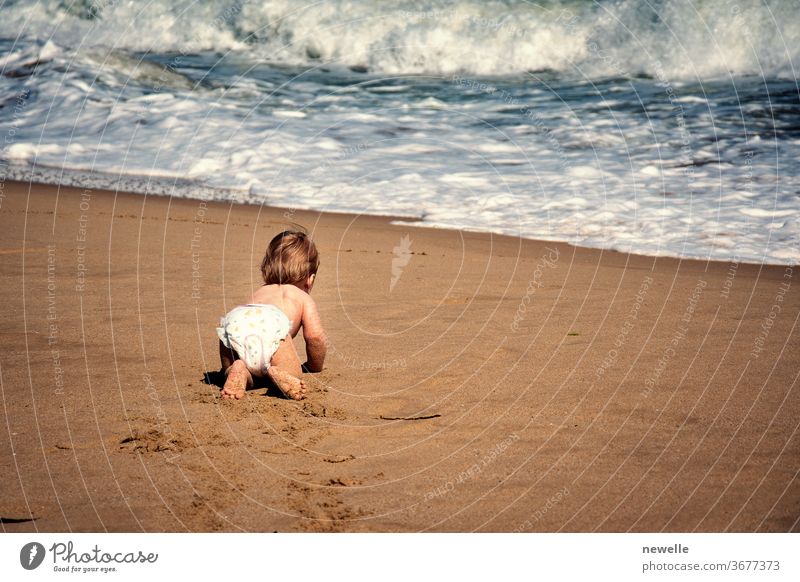 Infant boy crawling on sand towards ocean wave. Baby child crawl on all fours on tropical beach reaching waterfront rear view. Toddler curiosity of seaside at summertime. Infancy exploration.