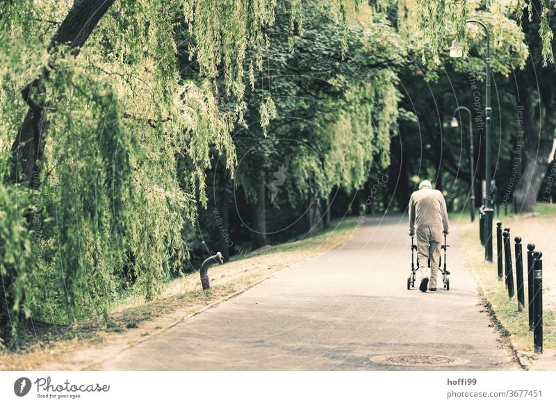 the old man makes his daily rounds in the nearby park age Old Senior citizen Home for the elderly Park To go for a walk on one's own Loneliness