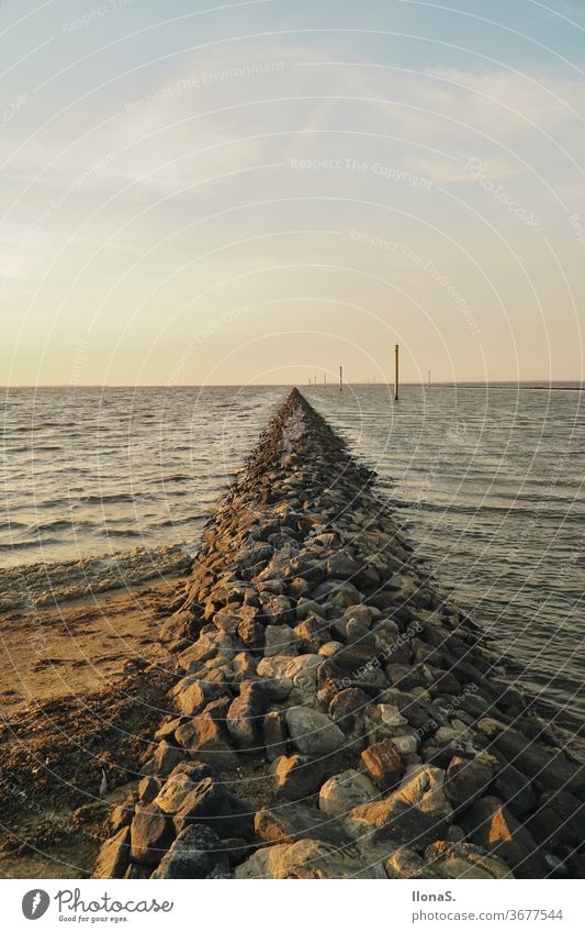 Breakwater at the North Sea in Harlesiel breakwater Ocean Low tide High tide Water Slick stones Waves Carolinensiel East Frisland Coast Port Protection piers