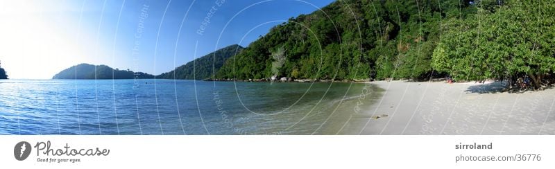 Koh Surin Thailand Beach Ocean Coast Sun Calm Palm tree Summer Panorama (View) Wide angle Vacation & Travel Loneliness Untouched Far-off places Green